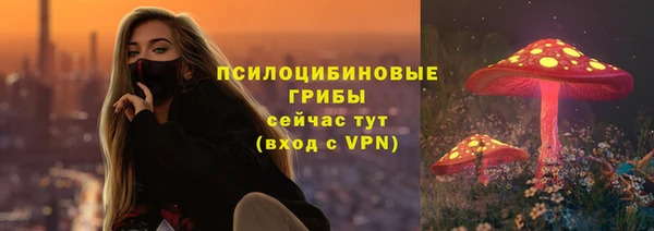 МДПВ Новозыбков